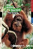 Un estiu a borneo