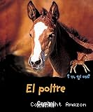El Poltre