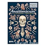 Anatòmicum