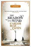 The shadow of the wind