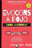 Emocions a dojo