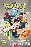 Pokémon