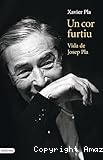 Un cop furtiu