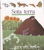 Sota terra