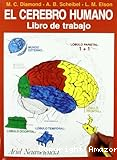 El Cerebro humano: Libro de trabajo