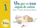 Un gat en una capsa de calçat