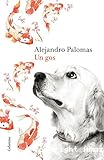 Un gos