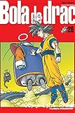 Bola de drac 28