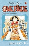 One piece: ¡¡Lucha contra la banda de Buggy!!