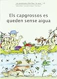 Els capgrossos es queden sense aigua
