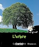 L´arbre