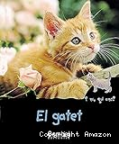 El gatet