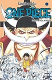 One piece: La gran batalla definitiva