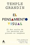 El pensamiento visual