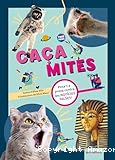 Caça mites : a la caça de notícies falses!