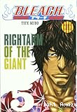 Rightarm of the giant