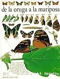De la oruga a la mariposa