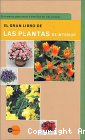 El Gran libro de las plantas de interior: Guía práctica para conocer e identificar las especies más comunes