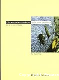 Els macroinvertebrats dels rius catalans