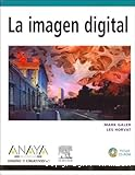La imagen digital
